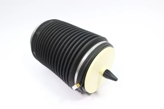 Luftfeder, Fahrwerk Hinterachse rechts MONROE ASP018 Bild Luftfeder, Fahrwerk Hinterachse rechts MONROE ASP018