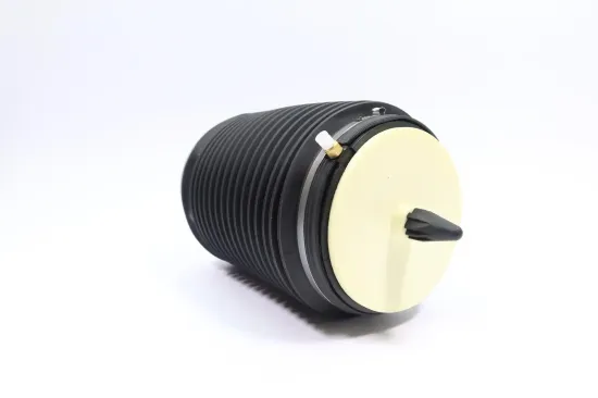 Luftfeder, Fahrwerk Hinterachse links MONROE ASP019 Bild Luftfeder, Fahrwerk Hinterachse links MONROE ASP019