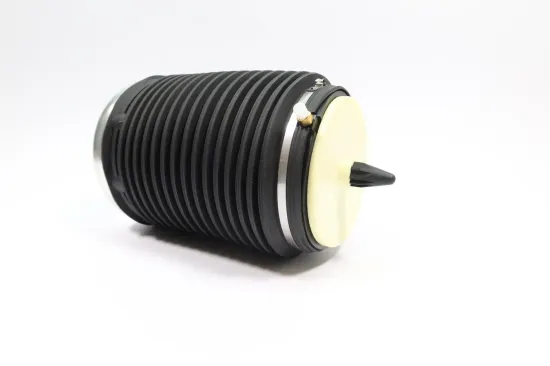 Luftfeder, Fahrwerk Hinterachse links MONROE ASP019 Bild Luftfeder, Fahrwerk Hinterachse links MONROE ASP019