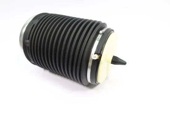 Luftfeder, Fahrwerk Hinterachse links MONROE ASP019 Bild Luftfeder, Fahrwerk Hinterachse links MONROE ASP019