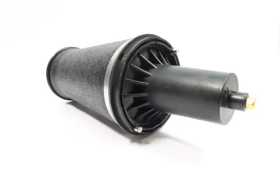 Luftfeder, Fahrwerk Vorderachse MONROE ASP024 Bild Luftfeder, Fahrwerk Vorderachse MONROE ASP024