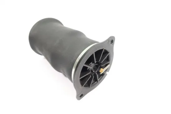 Luftfeder, Fahrwerk Hinterachse MONROE ASP034 Bild Luftfeder, Fahrwerk Hinterachse MONROE ASP034