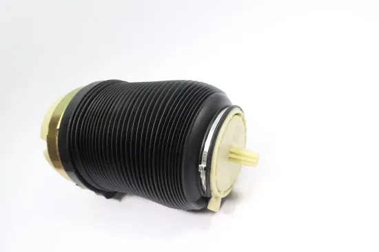 Luftfeder, Fahrwerk Hinterachse MONROE ASP035 Bild Luftfeder, Fahrwerk Hinterachse MONROE ASP035