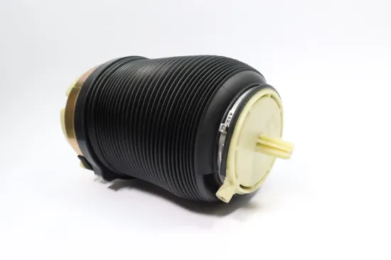 Luftfeder, Fahrwerk Hinterachse MONROE ASP035 Bild Luftfeder, Fahrwerk Hinterachse MONROE ASP035