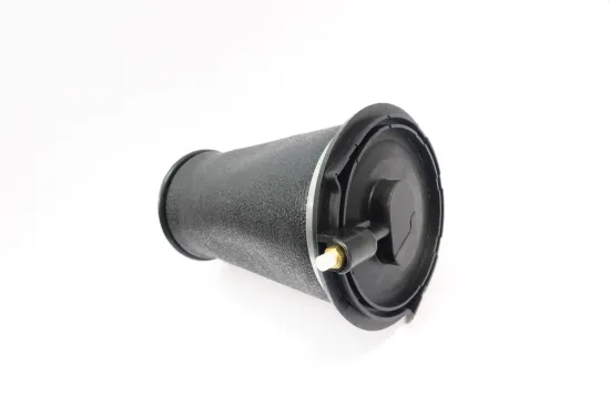 Luftfeder, Fahrwerk Hinterachse MONROE ASP037 Bild Luftfeder, Fahrwerk Hinterachse MONROE ASP037