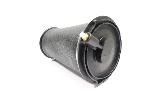 Luftfeder, Fahrwerk Hinterachse MONROE ASP037 Bild Luftfeder, Fahrwerk Hinterachse MONROE ASP037