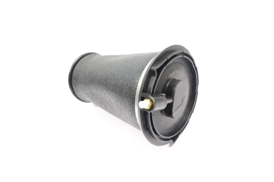 Luftfeder, Fahrwerk Hinterachse MONROE ASP037 Bild Luftfeder, Fahrwerk Hinterachse MONROE ASP037