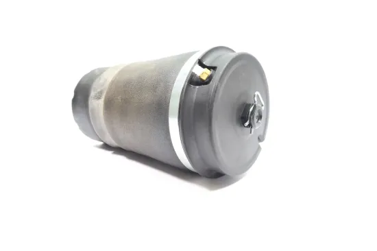 Luftfeder, Fahrwerk Hinterachse MONROE ASP038 Bild Luftfeder, Fahrwerk Hinterachse MONROE ASP038