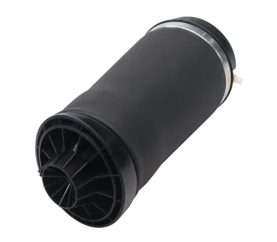 Luftfeder, Fahrwerk Hinterachse MONROE ASP040 Bild Luftfeder, Fahrwerk Hinterachse MONROE ASP040