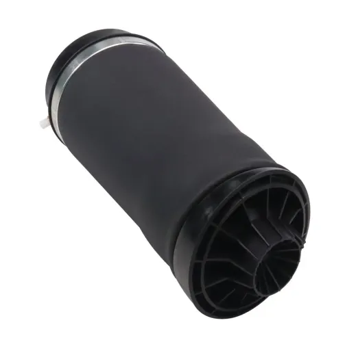 Luftfeder, Fahrwerk Hinterachse MONROE ASP040 Bild Luftfeder, Fahrwerk Hinterachse MONROE ASP040