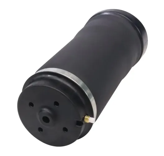 Luftfeder, Fahrwerk Hinterachse MONROE ASP040 Bild Luftfeder, Fahrwerk Hinterachse MONROE ASP040