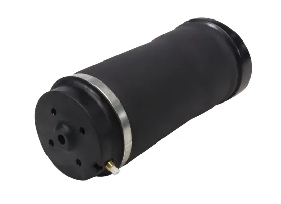 Luftfeder, Fahrwerk Hinterachse MONROE ASP040 Bild Luftfeder, Fahrwerk Hinterachse MONROE ASP040