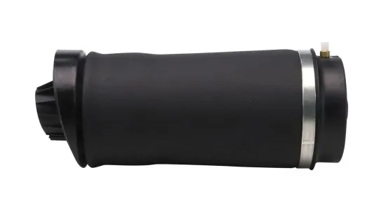 Luftfeder, Fahrwerk Hinterachse MONROE ASP040 Bild Luftfeder, Fahrwerk Hinterachse MONROE ASP040