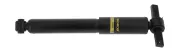 Stoßdämpfer Hinterachse MONROE G2259