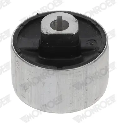 Lagerung, Lenker Vorderachse beidseitig hinten unten MONROE L25L19