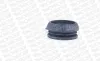 Reparatursatz, Federbeinstützlager Vorderachse MONROE MK055 Bild Reparatursatz, Federbeinstützlager Vorderachse MONROE MK055