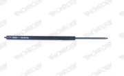 Gasfeder, Koffer-/Laderaum hinten MONROE ML6113