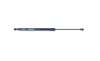Gasfeder, Koffer-/Laderaum hinten MONROE ML6229 Bild Gasfeder, Koffer-/Laderaum hinten MONROE ML6229