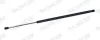 Gasfeder, Koffer-/Laderaum hinten MONROE ML6519