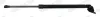 Gasfeder, Koffer-/Laderaum MONROE ML6591R