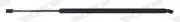 Gasfeder, Koffer-/Laderaum beidseitig MONROE ML6598