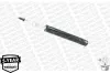 Stoßdämpfer Vorderachse MONROE MR258 Bild Stoßdämpfer Vorderachse MONROE MR258