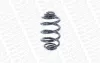 Fahrwerksfeder Hinterachse MONROE SP3619 Bild Fahrwerksfeder Hinterachse MONROE SP3619