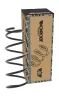 Fahrwerksfeder MONROE SP3856 Bild Fahrwerksfeder MONROE SP3856