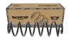 Fahrwerksfeder Hinterachse MONROE SP4366 Bild Fahrwerksfeder Hinterachse MONROE SP4366