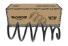 Fahrwerksfeder MONROE SP4570 Bild Fahrwerksfeder MONROE SP4570