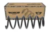 Fahrwerksfeder Hinterachse MONROE SP4597 Bild Fahrwerksfeder Hinterachse MONROE SP4597