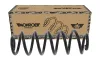 Fahrwerksfeder Hinterachse MONROE SP4894 Bild Fahrwerksfeder Hinterachse MONROE SP4894