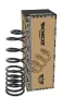 Fahrwerksfeder Hinterachse MONROE SP4931 Bild Fahrwerksfeder Hinterachse MONROE SP4931