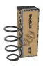 Fahrwerksfeder Hinterachse MONROE SP4970 Bild Fahrwerksfeder Hinterachse MONROE SP4970