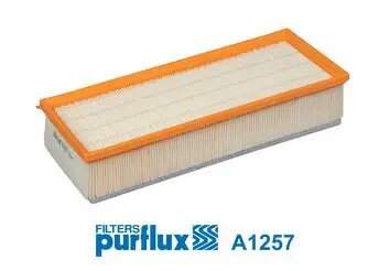 Luftfilter PURFLUX A1257 Bild Luftfilter PURFLUX A1257