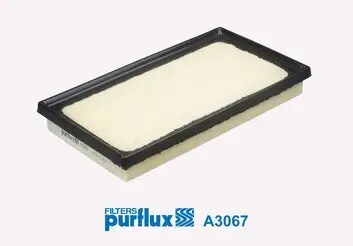 Luftfilter PURFLUX A3067 Bild Luftfilter PURFLUX A3067