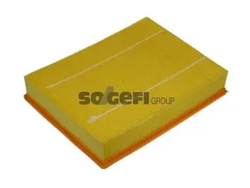Luftfilter PURFLUX A1210 Bild Luftfilter PURFLUX A1210