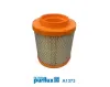 Luftfilter PURFLUX A1373