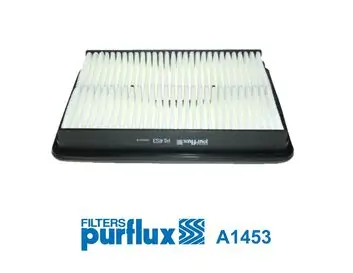 Luftfilter PURFLUX A1453 Bild Luftfilter PURFLUX A1453