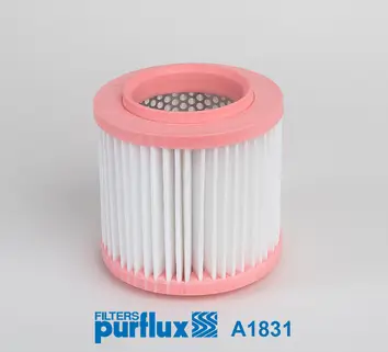 Luftfilter PURFLUX A1831 Bild Luftfilter PURFLUX A1831