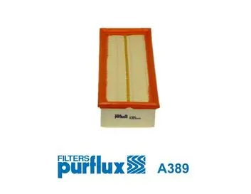 Luftfilter PURFLUX A389 Bild Luftfilter PURFLUX A389