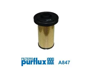 Luftfilter PURFLUX A847 Bild Luftfilter PURFLUX A847