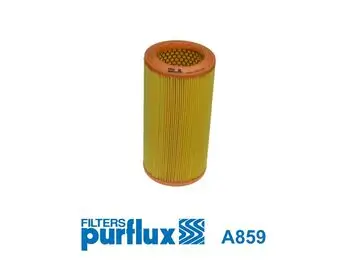Luftfilter PURFLUX A859
