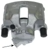 Bremssattel Vorderachse rechts TEXTAR 38058700