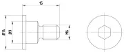 Schraube, Bremsscheibe TEXTAR TPM0001