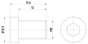 Schraube, Bremsscheibe TEXTAR TPM0009