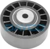 Umlenk-/F&uuml;hrungsrolle, Keilrippenriemen DAYCO APV2165
