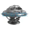 Thermostat, Kühlmittel DAYCO DT1029V