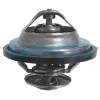 Thermostat, Kühlmittel DAYCO DT1043V