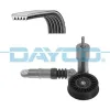 Keilrippenriemensatz DAYCO KPV254